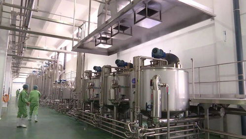 中坤食品邁入試生產(chǎn)新階段，預(yù)計(jì)月底全面投產(chǎn)引領(lǐng)食品產(chǎn)業(yè)新篇章