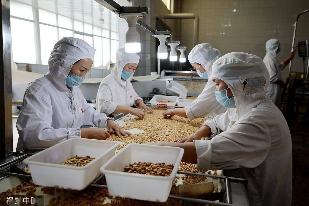 臨沂食品企業(yè) 深加工花生，提升農(nóng)產(chǎn)品附加值，打造國家保健食品生產(chǎn)新標(biāo)桿